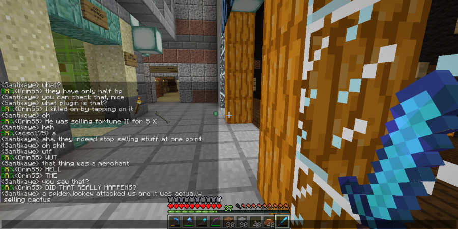2017-01-17_03.42.46_-_shopkeepers_bug.png