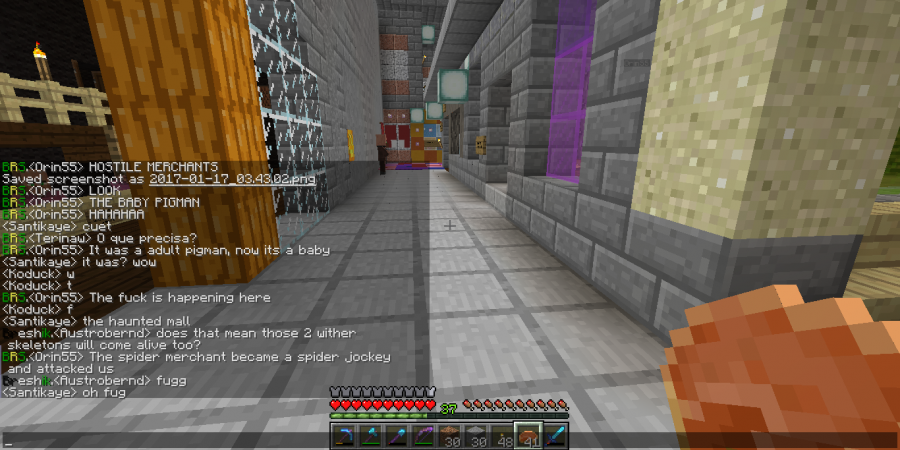 2017-01-17_03.44.11_-_shopkeepers_bug.png