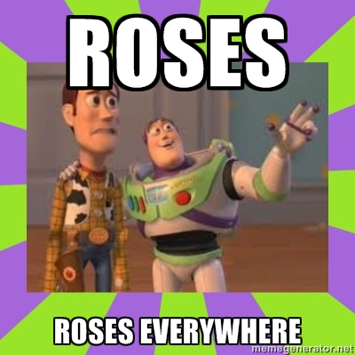 redrose.jpg