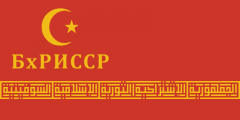 Battx RISSIR Flag