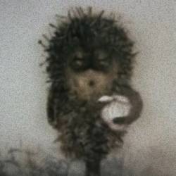 igel-santi.jpg
