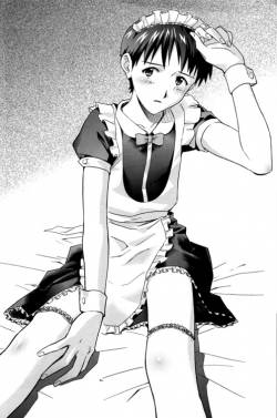 koinu_shinji.jpg