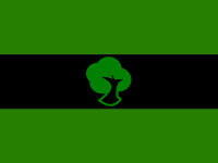  The flag of Chernolesovsk