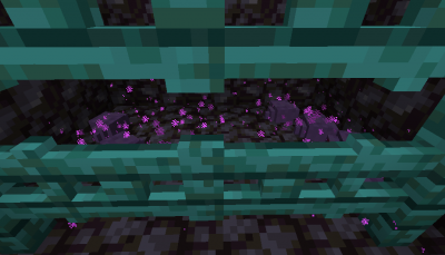 Endermites' Cage
