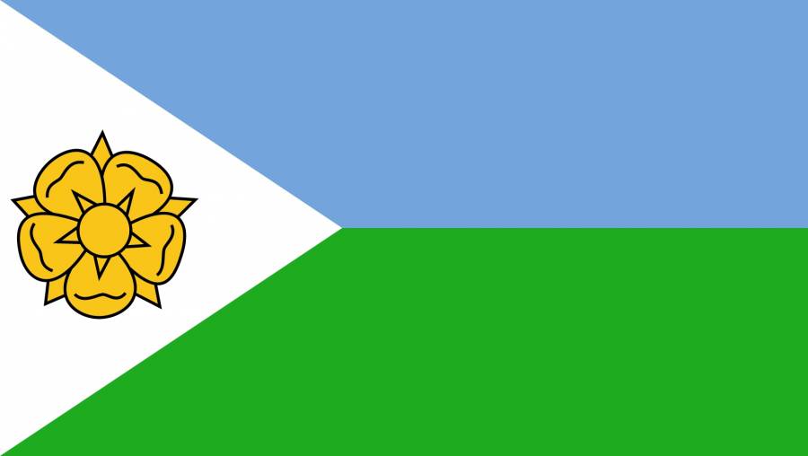 socierflag.jpg