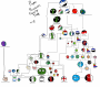 talk:nations:more_fleshed_out_tree.png